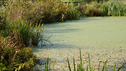 Similar image 21657578