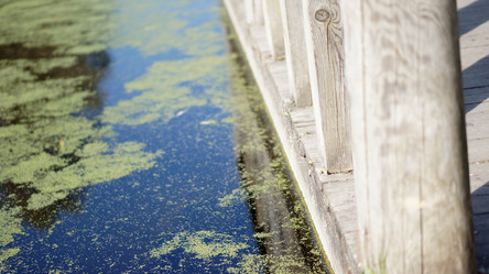 Similar image 21657579