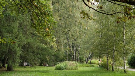 Similar image 21657580