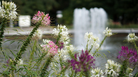 Similar image 21657581