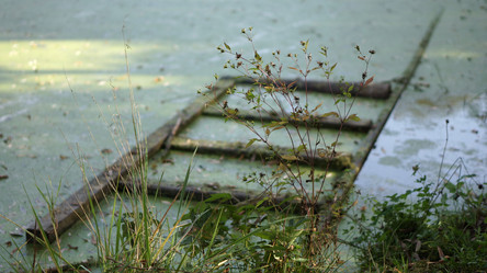 Similar image 21657582