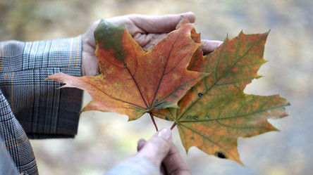 Similar image 21657583