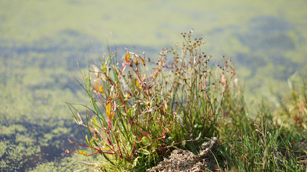 Similar image 21657584