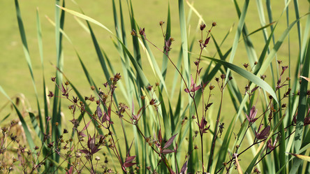 Similar image 21657585