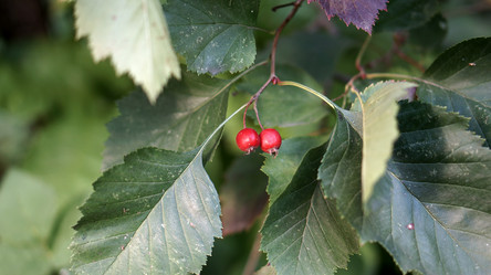 Similar image 21657586