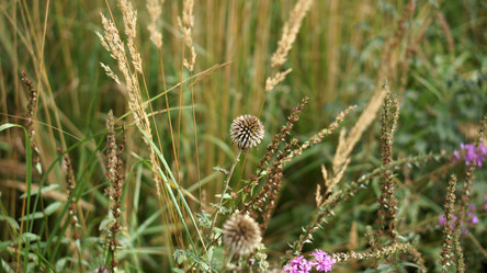 Similar image 21657587