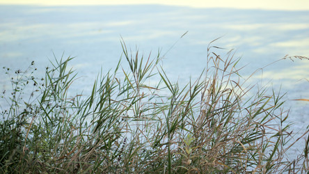 Similar image 21657588