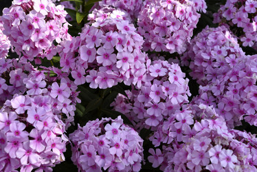 Similar image 21652432