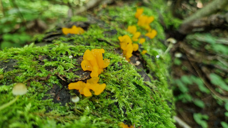 Similar image 21652329