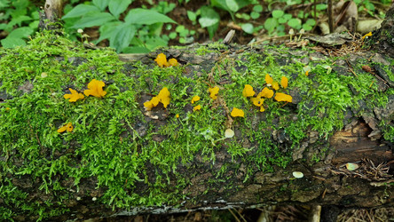 Similar image 21652330