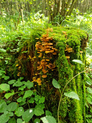 Similar image 21652331