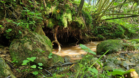 Similar image 21652332