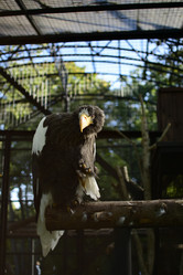 Similar image 21652435