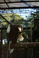 Similar image 21652438