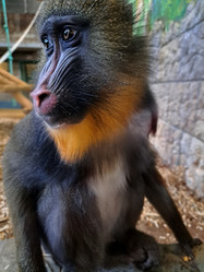 Similar image 21652695