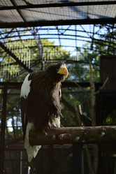 Similar image 21652696