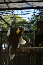 Similar image 21652698