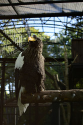 Similar image 21652700