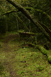 Similar image 21652703