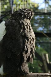 Similar image 21652704