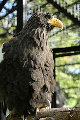 Similar image 21652705