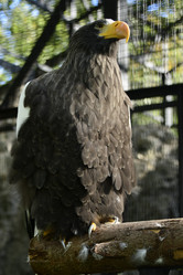 Similar image 21652706