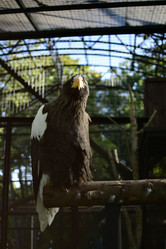 Similar image 21652708