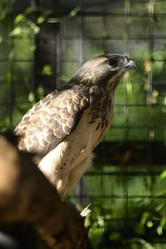 Similar image 21652710