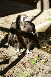 Similar image 21652712