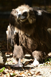 Similar image 21652714