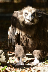 Similar image 21652716