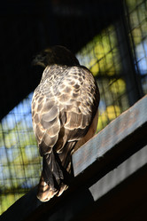 Similar image 21652720