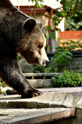 Similar image 21652722