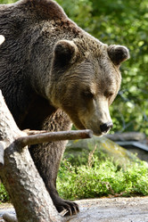 Similar image 21652728