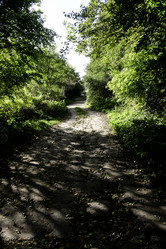 Similar image 21652853