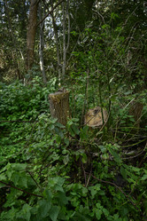 Similar image 21652856