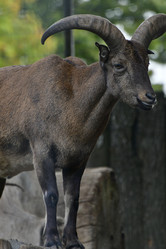 Similar image 21652857