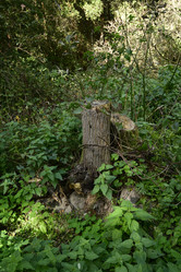 Similar image 21652858