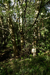 Similar image 21652860