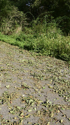 Similar image 21652863