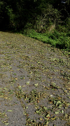 Similar image 21652864