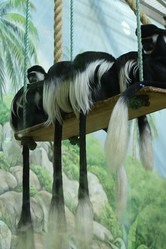 Similar image 21652865