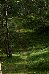 Similar image 21652867