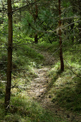 Similar image 21652868