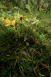 Similar image 21652871