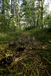 Similar image 21652873