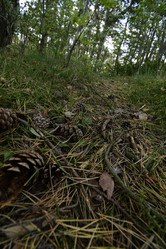 Similar image 21652874