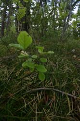 Similar image 21652875