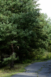 Similar image 21652877