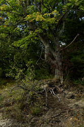 Similar image 21652878